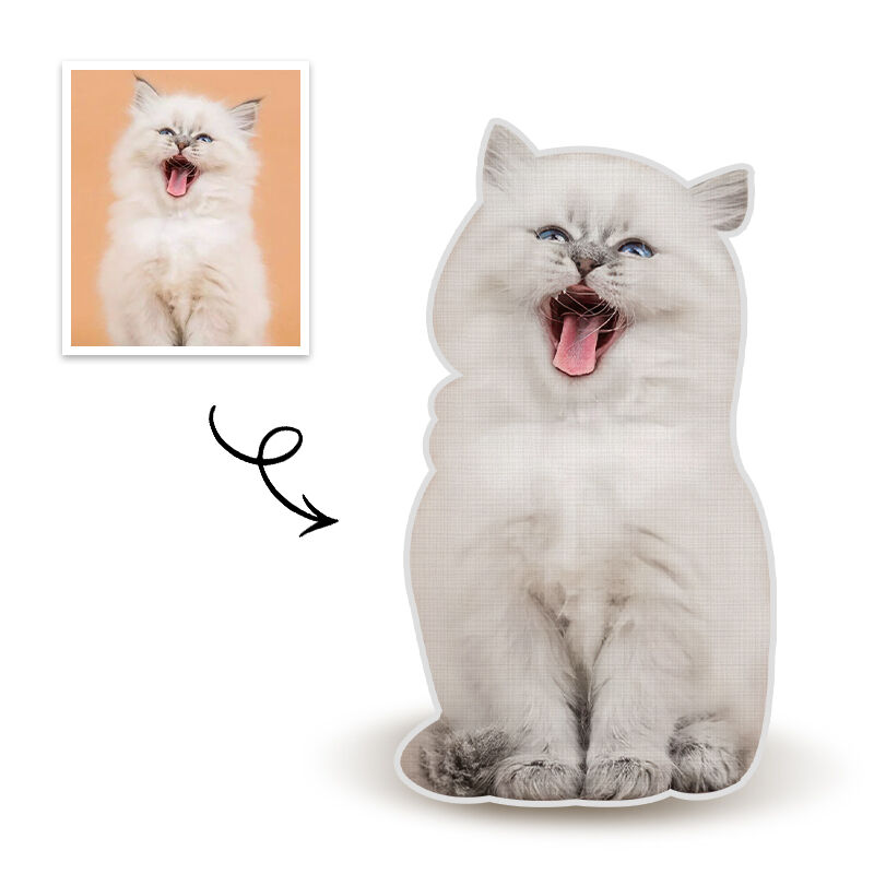 Customized Pet Full Body Photo Pillow 3D Portrait Pillow Cat Gift for Friend