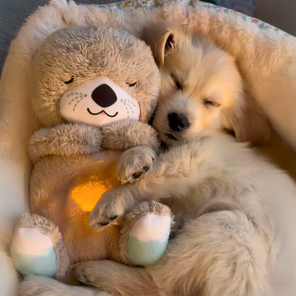 BREATHING⢠TEDDY PLUSH TOY