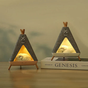 Cute Cat House in Tent Shape Lamp Night Light with Wireless Bluetooth Speaker for Bedroom, Home, office, Party, Room décor, Valentine, Birthday Gifts etc.