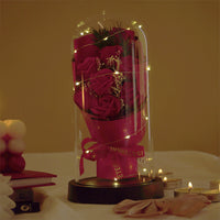 Luxury Rose Dome Gift for Special Occasions