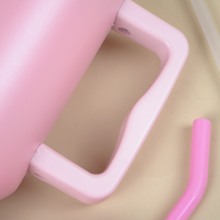 Blush Dark Pink Lid Premium Insulated Tumbler with Handle & Straw