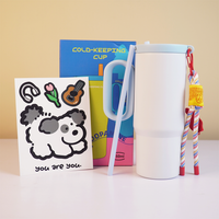 Sticker Insulated Tumbler