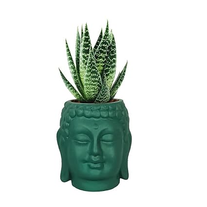 Small Buddha 3.5" Ceramic Pots for Indoor Plants, Planters, Flower, Pots, gamla,Outdoor,Balcony,Home,Round,Garden, Office Decor,Succulent (H - 9 X D - 8.5 cm)