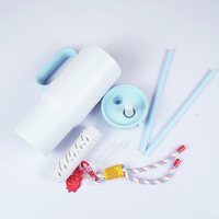 Sticker Insulated Tumbler
