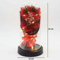 Luxury Rose Dome Gift for Special Occasions