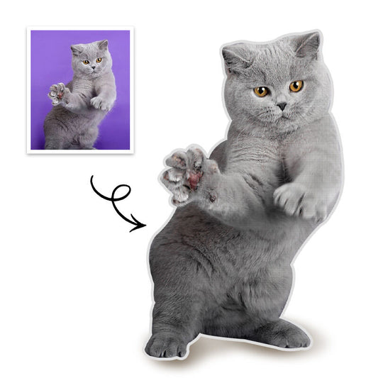 Customized Pet Full Body Photo Pillow 3D Portrait Pillow Grey Cat Gift for Friend