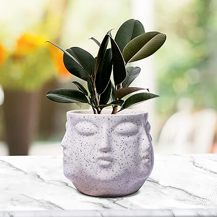 Face White Ceramic Pots for Indoor Plants, Planters, Flower, Pots, gamla, Outdoor, Balcony, Home, Garden, Office Decor, Succulent Pot(H - 10 X D - 10 cm)