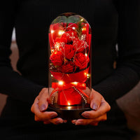 Luxury Rose Dome Gift for Special Occasions