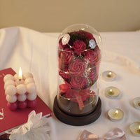 Luxury Rose Dome Gift for Special Occasions