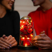 Luxury Rose Dome Gift for Special Occasions