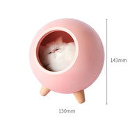 Cute Kitten House Decorative Night Light