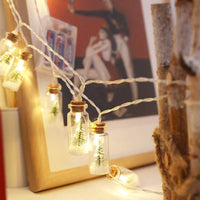 Christmas Wishing Bottle String Lights