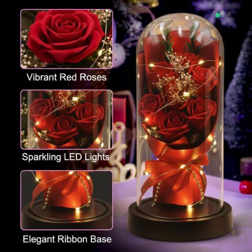Luxury Rose Dome Gift for Special Occasions