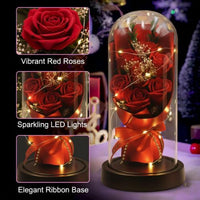 Luxury Rose Dome Gift for Special Occasions